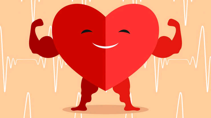 How Physiotherapy Improves The Human Heart